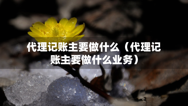 代理记账主要做什么（代理记账主要做什么业务）