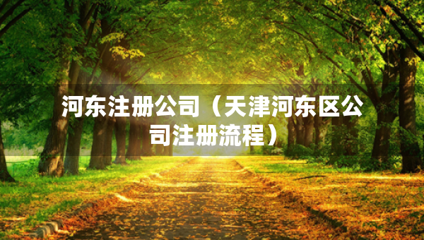 河东注册公司（天津河东区公司注册流程）
