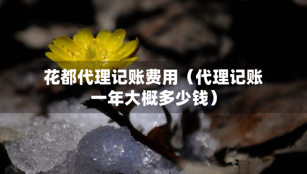 花都代理记账费用（代理记账一年大概多少钱）