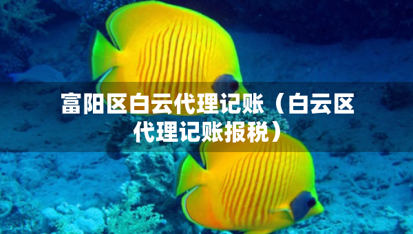 富阳区白云代理记账(白云区代理记账报税) 富阳区白云代理记账(白云区代理记账报税)
