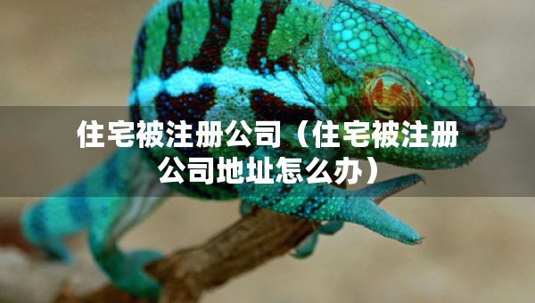 住宅被注册公司（住宅被注册公司地址怎么办）