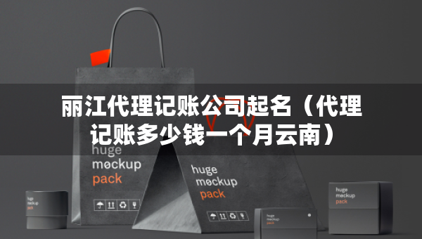 丽江代理记账公司起名（代理记账多少钱一个月云南）