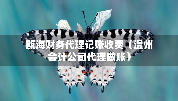 瓯海财务代理记账收费（温州会计公司代理做账）