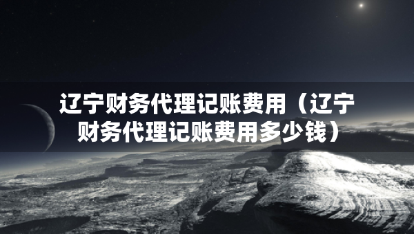 辽宁财务代理记账费用（辽宁财务代理记账费用多少钱）