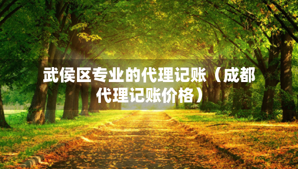 武侯区专业的代理记账（成都代理记账价格）