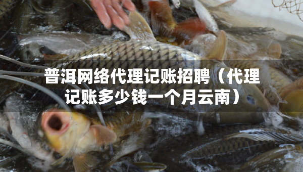 普洱网络代理记账招聘（代理记账多少钱一个月云南）