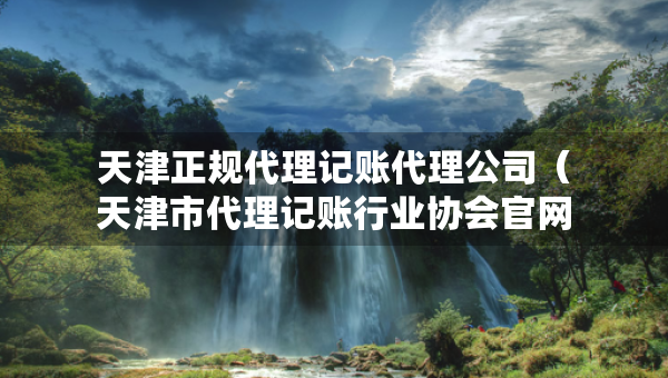 天津正规代理记账代理公司（天津市代理记账行业协会官网）