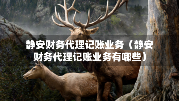 静安财务代理记账业务（静安财务代理记账业务有哪些）