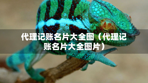 代理记账名片大全图（代理记账名片大全图片）