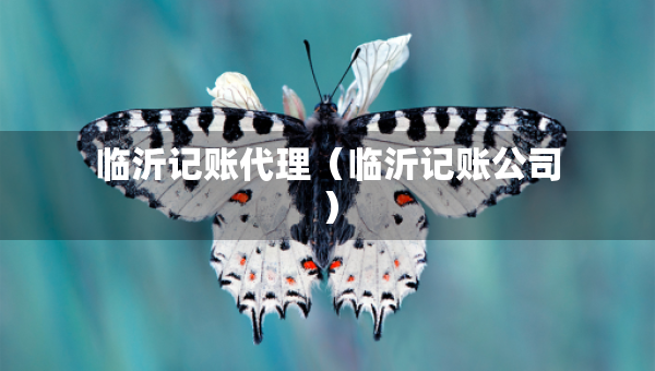 临沂记账代理（临沂记账公司）