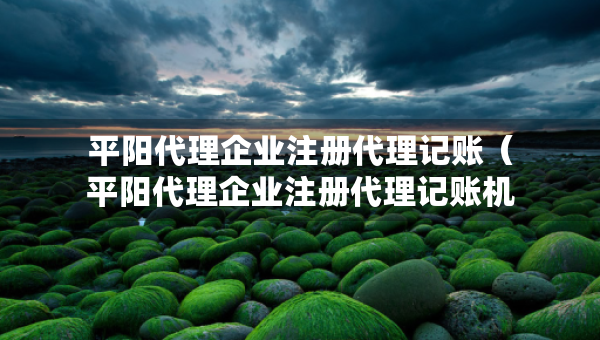 平阳代理企业注册代理记账（平阳代理企业注册代理记账机构）