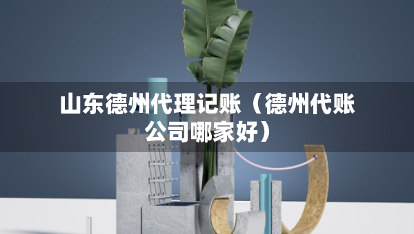 山东德州代理记账（德州代账公司哪家好）