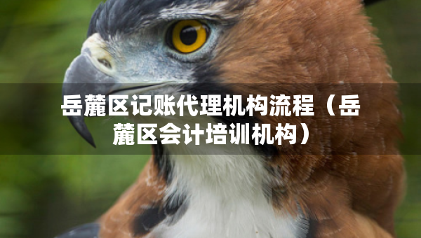 岳麓区记账代理机构流程（岳麓区会计培训机构）