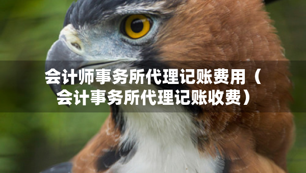 会计师事务所代理记账费用（会计事务所代理记账收费）