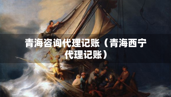 青海咨询代理记账（青海西宁代理记账）