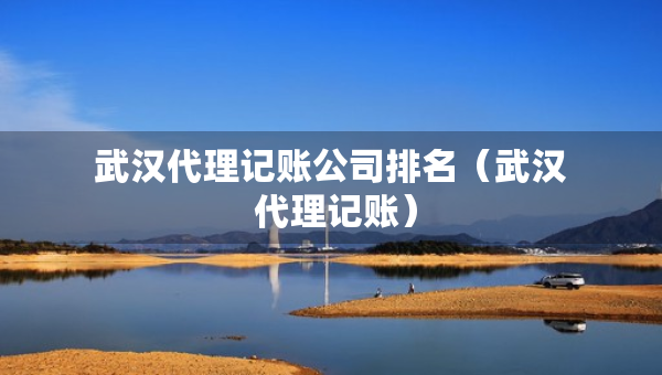 武汉代理记账公司排名（武汉 代理记账）