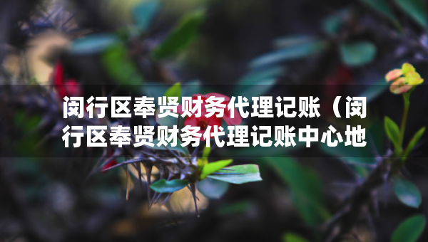 闵行区奉贤财务代理记账（闵行区奉贤财务代理记账中心地址）