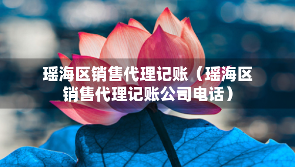 瑶海区销售代理记账（瑶海区销售代理记账公司电话）