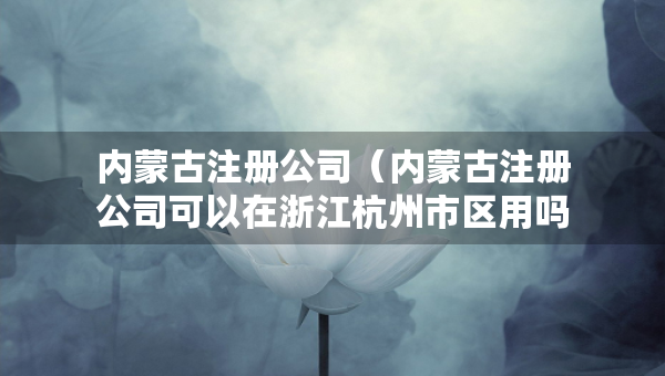 内蒙古注册公司（内蒙古注册公司可以在浙江杭州市区用吗）