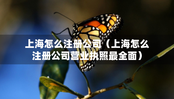 上海怎么注册公司（上海怎么注册公司营业执照最全面）