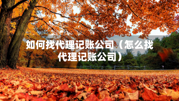如何找代理记账公司（怎么找代理记账公司）