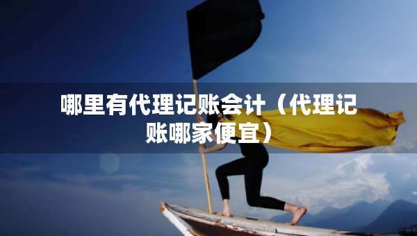 哪里有代理记账会计（代理记账哪家便宜）