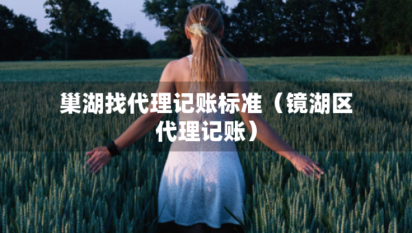 巢湖找代理记账标准（镜湖区代理记账）