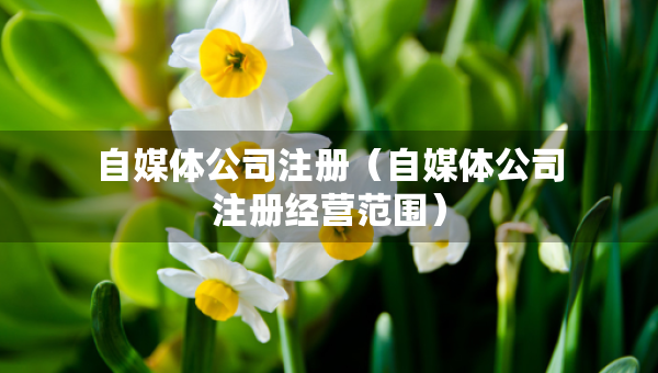 自媒体公司注册（自媒体公司注册经营范围）