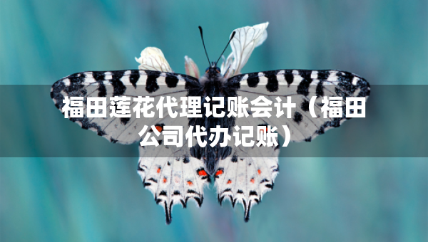福田莲花代理记账会计（福田公司代办记账）