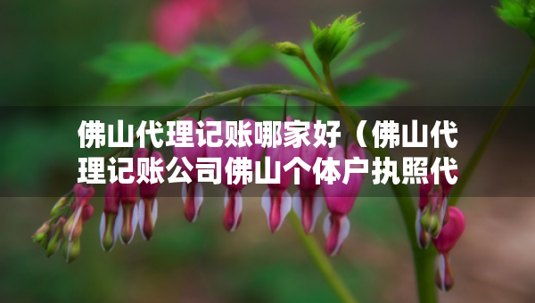佛山代理记账哪家好（佛山代理记账公司佛山个体户执照代办）