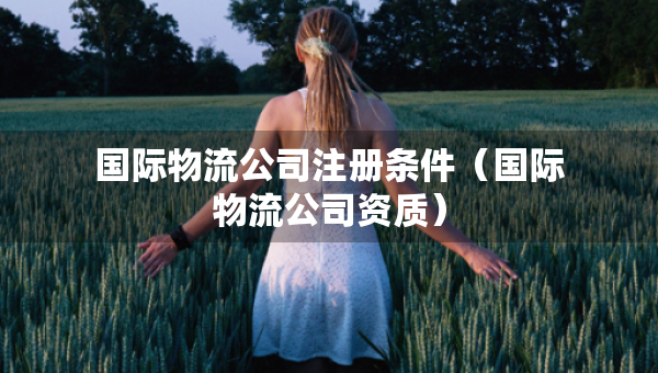 国际物流公司注册条件（国际物流公司资质）