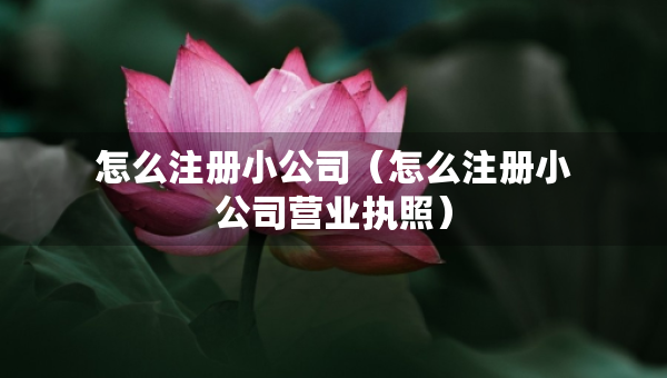 怎么注册小公司（怎么注册小公司营业执照）