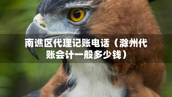 南谯区代理记账电话（滁州代账会计一般多少钱）