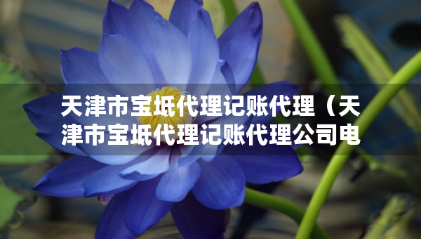 天津市宝坻代理记账代理（天津市宝坻代理记账代理公司电话）