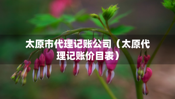 太原市代理记账公司（太原代理记账价目表）