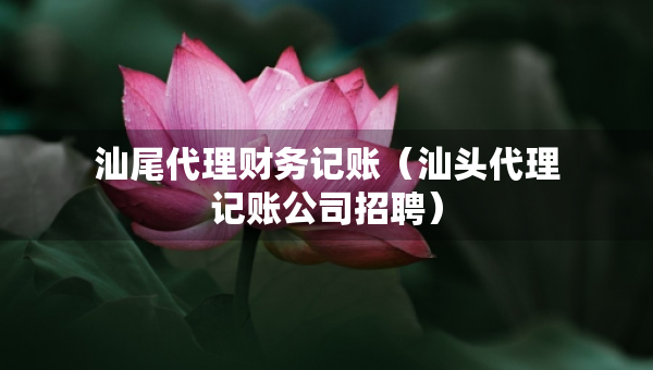 汕尾代理财务记账（汕头代理记账公司招聘）