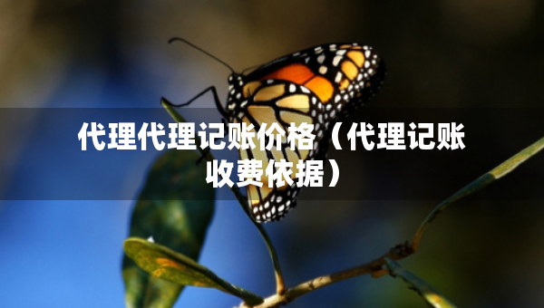 代理代理记账价格（代理记账收费依据）