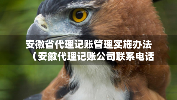 安徽省代理记账管理实施办法（安徽代理记账公司联系电话）