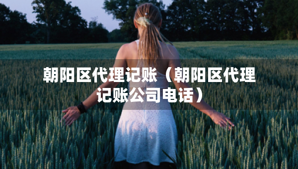 朝阳区代理记账（朝阳区代理记账公司电话）