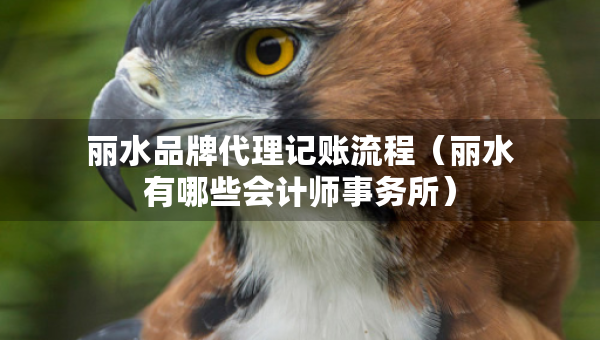 丽水品牌代理记账流程（丽水有哪些会计师事务所）