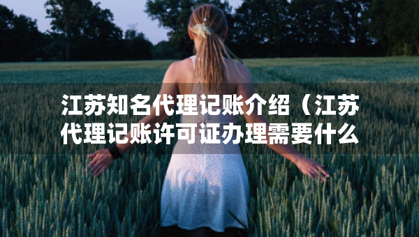 江苏知名代理记账介绍（江苏代理记账许可证办理需要什么条件）