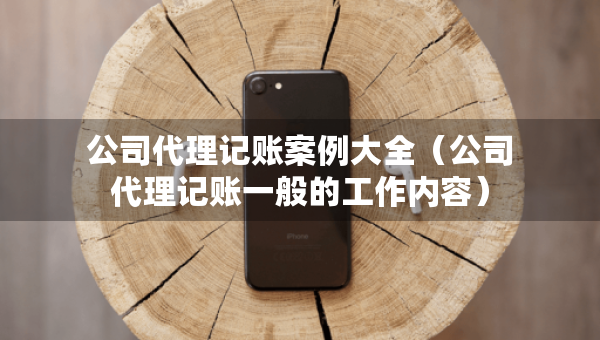 公司代理记账案例大全（公司代理记账一般的工作内容）