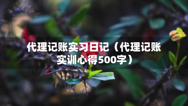 代理记账实习日记（代理记账实训心得500字）