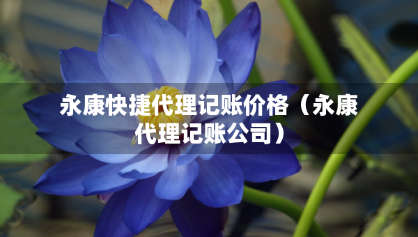 永康快捷代理记账价格（永康代理记账公司）