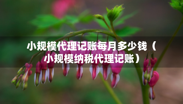 小规模代理记账每月多少钱（小规模纳税代理记账）
