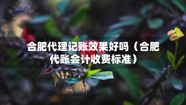 合肥代理记账效果好吗（合肥代账会计收费标准）