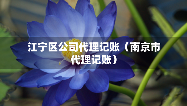 江宁区公司代理记账（南京市代理记账）