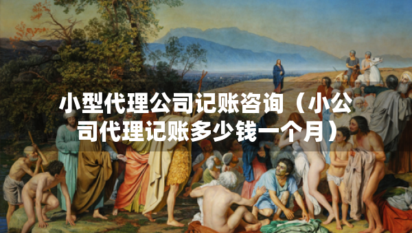 小型代理公司记账咨询（小公司代理记账多少钱一个月）