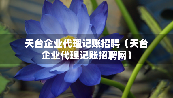 天台企业代理记账招聘（天台企业代理记账招聘网）
