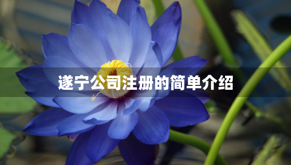 遂宁公司注册的简单介绍